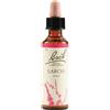 SCHWABE PHARMA ITALIA Schwabe Fiori Di Bach Larch 19 Gocce 20ml