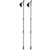 Ferrino Creek Nordic Walking Bastoncini, Grigio
