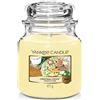 Yankee Candle Candela profumata in giara media | Biscotto di Natale | Durata Fino a 75 Ore