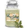 Yankee Candle Candela Profumata | Sage & CitrusGrande Barattolo | Candele a Lunga Durata: fino a 150 Ore | Regali Perfetti per Donne