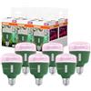 OSRAM LED STAR GROW LAMP T 80 20 W 650 lm