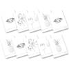 Pigna, Maxi Quaderno Monocromo Silver, A4, carta interna 100 g/m², pagine 72 + risguardo, interno 0Q, quadretti 5 mm. con margine, Soggetti Assortiti, Confezione da 10