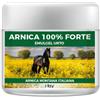 INTALY LAB Srl ARNICA 100% FORTE 500ML