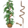 Wekuch 150 cm Palo di Muschio Pieghevole per Monstera e Piante Rampicanti - Supporto per Piante da Interno e Giardino con Struttura Resistente