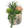 Hisow Piante grasse artificiali, piante grasse finte in elegante vaso di ceramica assortite, pianta grassa in vaso finto per casa, soggiorno, camera da letto (7.9)