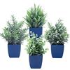 summer flower Set di 4 piante finte in vaso, piccole piante artificiali di eucalipto in vaso, mini erba di grano, felci, verde finto per casa, ufficio, tavolo, bagno, decorazioni per casa colonica