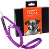 Canny Collar Collare a Cavezza Antitiro per Cani che Tirano, Viola Taglia 2 | Camminare senza tirare, addestramento al guinzaglio, controllo delicato e passeggiate tranquille senza correzioni brusche.
