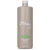 Paul Mitchell Smooth Super Smooth Shampoo 1000 ml