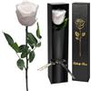 Yamonic Rosa Stabilizzata Regalo Donna,Rosa Eterna con Steli Regalo per Donne Compleanno,Idee Regali per Lei,Regali Mamma Natale San Valentino Festa della Mamma,Vera Rosa Bianca
