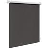 WOLTU Tenda a Rullo Oscurante con Montaggio a Vite 140x160cm Carbone Nero | Rivestimento Argentato Termoisolante, Protezione Solare, per Finestre e Porte, Larghezza Tessuto 136 cm