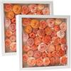 PIPITA 2 pezzi Cornice per scatola porta ombre 20,32 x 20,32 cm, Portafoto per fiori secchi, Portafoto 3D con vetrina più profonda di 7,62 cm con pannello acrilico trasparente per foto, fai da te, ricordi di