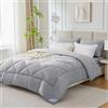 WAVVE Piumone Letto Matrimoniale 450 gr/mq Invernale 220x240 cm - Piumino Caldissimo 240x220, Trapunta 220 x 240 cm in Microfibra Sintetica, Grigio Leggero