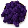 Verde stabilizzato Lichene Stabilizzato Vero 100% Naturale, 1kg - Muschio Scandinavo Conservato per Decorazioni - Ideale per Parete Verde, Terrario, Presepi, Modellismo e Composizioni Fai da Te (Viola, 1kg)