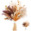 HMCEY 64 Erba Della Pampas Decorative,HMCEY Composizione Fiori Secchi Naturali