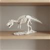 Scheletro Di Tyrannosaurus Rex In Resina Scheletro Di Tyrannosaurus Con Base