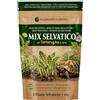 ALEJANDRO FUENTES AF® - Mix Semi per Tartarughe di Terra, Formulazione Lenta 40g | Tarassaco, Malva, Piantaggine | Erbe Selvatiche per Lunga Stagione con Guida Illustrata | Cibo Naturale per Testudo Hermanni e Graeca