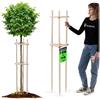 KADAX Supporto per albero da 150 cm, in legno robusto, per un fissaggio sicuro di giovani alberi e arbusti, supporto per piante in legno di faggio per giardino
