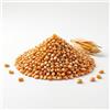 Generico Semi di Mais da Pop Corn | Alta Germinazione | Semi Ortaggi per Orto e Giardino | Mais per Popcorn Croccanti Fatti in Casa | Facile da Coltivare, Raccolto Naturale