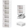 PAIDE P Scarpiera Salvaspazio Pieghevole. Scaffale Plastica Organizzatore di Scarpiere Per Ingresso, Armadio e Corridoio. Scatole Porta scarpe Impilabili Con Porta Calamitata. (6 Compt)
