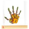 TINY LOVE Kit impronte mani Display Tiny Love Family Prints
