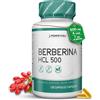 Perpetual Nutrition Berberina | 500 mg HCL - Berberine | 120 Capsule - per 4 Mesi | Regolazione Glicemia - Supporto al Colesterolo e Metabolismo - Azione Depurativa - Antinfiammatoria | Naturale
