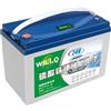 WILLQ Batteria LiFePO4 da 25,6 V, Batteria al Litio Ricaricabile da 24 V | 24 Volt 12Ah 18Ah 25Ah 30Ah 48Ah 60Ah, 2000 cicli profondi, per luci campeggio/ecoscandagli/auto escursioni turistiche