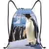 Anceky Zaino con coulisse, borsa da palestra con coulisse, borsa da nuoto con stampa di pinguino per uomo e donna