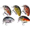 Drawup Realistico 3D Eye Lures 2g Kit d'acqua dolce Realistico 3D Eye Lures | Occhi realistici 3D, colori vivaci, ganci resistenti alla trazione, imita nuoto naturale, fiumi laghi costieri