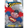 Fabian Nicieza Renato Guedes Superman by Kurt Busiek Book Two (Copertina rigida)