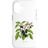 The Botany Bureau Custodia per iPhone 16 Illustrazione della pianta di gelso Morus alba