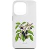 The Botany Bureau Custodia per iPhone 13 Pro Illustrazione della pianta di gelso Morus alba