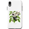 The Botany Bureau Custodia per iPhone XR Illustrazione della pianta di gelso Morus alba