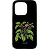 The Botany Bureau Custodia per iPhone 15 Pro Illustrazione della pianta di gelso Morus alba