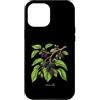 The Botany Bureau Custodia per iPhone 12 Pro Max Illustrazione della pianta di gelso Morus alba
