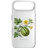 The Botany Bureau Custodia per iPhone Air Illustrazione della pianta di zucca Cucurbita maxima