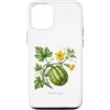 The Botany Bureau Custodia per iPhone 12/12 Pro Illustrazione della pianta di zucca Cucurbita maxima