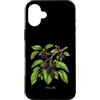 The Botany Bureau Custodia per iPhone 16 Plus Illustrazione della pianta di gelso Morus alba