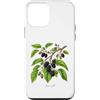 The Botany Bureau Custodia per iPhone 12 mini Illustrazione della pianta di gelso Morus alba