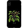 The Botany Bureau Custodia per iPhone XS Max Illustrazione della pianta di gelso Morus alba
