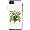 The Botany Bureau Custodia per iPhone SE (2020) / 7/8 Illustrazione della pianta di gelso Morus alba