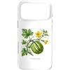 The Botany Bureau Custodia per iPhone 17 Pro Max Illustrazione della pianta di zucca Cucurbita maxima