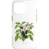 The Botany Bureau Custodia per iPhone 16 Pro Illustrazione della pianta di gelso Morus alba