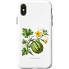 The Botany Bureau Custodia per iPhone X/XS Illustrazione della pianta di zucca Cucurbita maxima