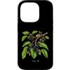 The Botany Bureau Custodia per iPhone 14 Pro Illustrazione della pianta di gelso Morus alba