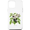 The Botany Bureau Custodia per iPhone 12 Pro Max Illustrazione della pianta di gelso Morus alba