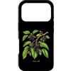 The Botany Bureau Custodia per iPhone 17 Pro Illustrazione della pianta di gelso Morus alba