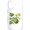 The Botany Bureau Custodia per iPhone 17 Illustrazione della pianta di zucca Cucurbita maxima