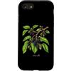 The Botany Bureau Custodia per iPhone SE (2020) / 7/8 Illustrazione della pianta di gelso Morus alba