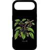 The Botany Bureau Custodia per iPhone Air Illustrazione della pianta di gelso Morus alba