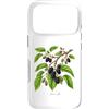 The Botany Bureau Custodia per iPhone 17 Pro Illustrazione della pianta di gelso Morus alba